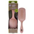 Wet Brush Go Green Oil Infused Shine Brush - Coconut Oil by Wet Brush for Unisex - 1 Pc Hair Brush Sale